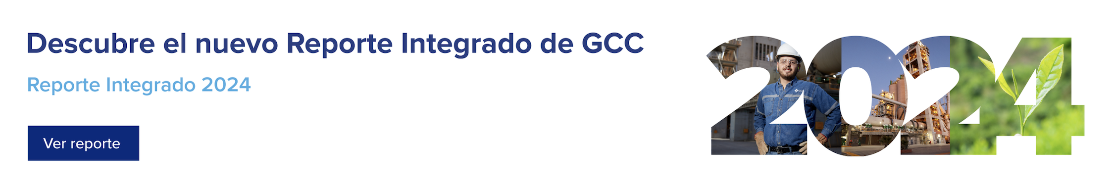 Reporte Integrado 2024